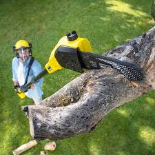 Best Pest Control for Lawns  in Kiawah Island, SC